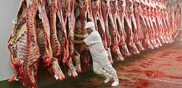 Produção mundial de carne aumentará 20% até 2030