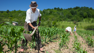 28 DE JULHO — DIA DO AGRICULTOR