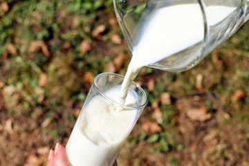 O que está acontecendo no mercado brasileiro de leite?