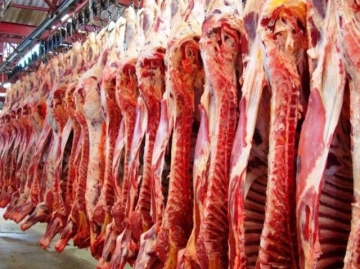 Embarque de carne bovina deve crescer 10% em 2017, estima consultoria