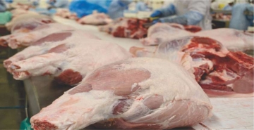 Singapura é o quarto maior importador de carne suína brasileira