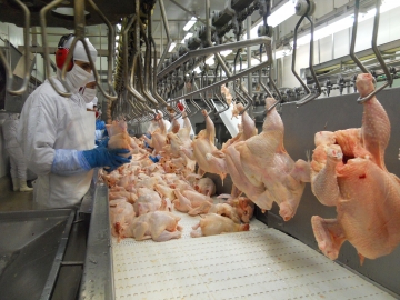 Brasil enfrenta mais um problema para exportar carne