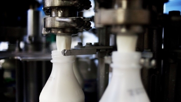 Preço do leite ao produtor subiu 7,7% em abril