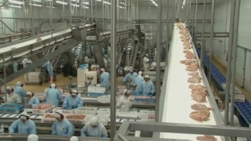 Exportação de frango do Brasil sobe em maio com disparada de vendas à China por peste suína