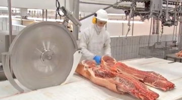 Exportações de carne suína crescem 13,4% até agosto, apesar de desaceleração
