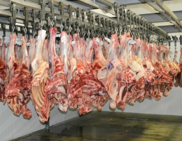 Exportações brasileiras de carne bovina crescem 14,2% de janeiro a agosto
