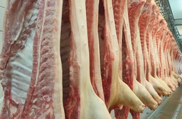 Exportação de carne suína é 41,5% maior