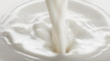 Laticínios podem comprar leite de pequenas indústrias sem SIF
