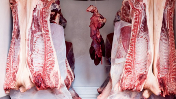 Peste suína na China ainda vai sustentar demanda global por carne