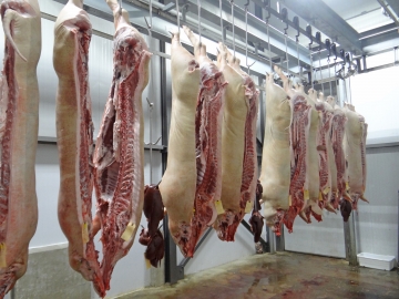 Exportações de carnes in natura cresceram em março deste ano