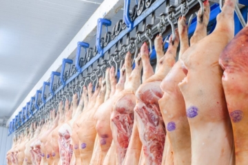 Exportações de carne suína crescem 19% em abril