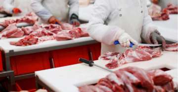 Ministério da Agricultura recomenda que sacrifício de animais seja última opção