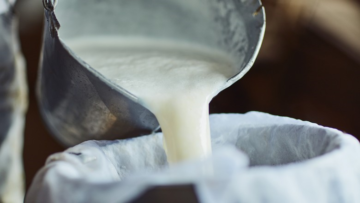 Com oferta escassa, preço do leite sobe 9,8% e acirra disputa entre laticínios