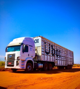 Empresa cria “Uber do Boi” para transportar gado no Brasil