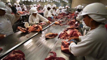 Preços da carne bovina disparam no atacado, segundo Cepea