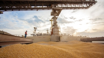 Preço do milho supera R$ 80 por saca e atinge o maior valor desde 2004, aponta Cepea