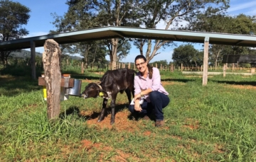 Bem-estar de bovinos leiteiros é tema de estudo no Brasil