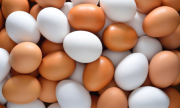 Recorde entre os preços de ovos branco e vermelhos