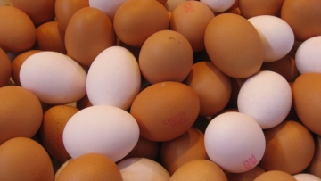 Custo mais caro preocupa produtores de ovos apesar de alta nas vendas