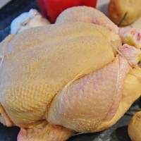 Carne de frango: em março, exportação subiu mais de 13%, diz ABPA