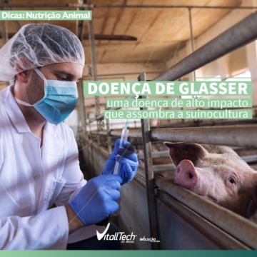 Dicas: Nutrição Animal | Doença de Glasser