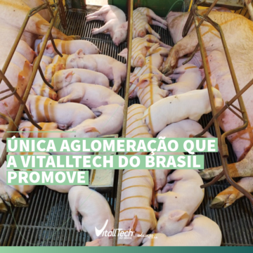 Única aglomeração que a nutrição da VitallTech do Brasil® promove!