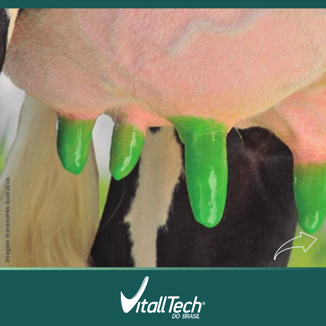 Pré e pósdipping Vitalltech