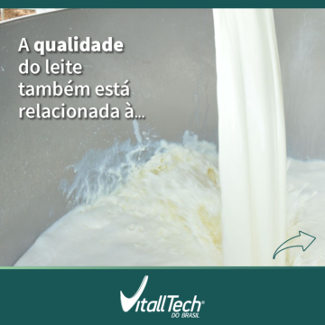Limpeza e desinfecção de sistemas de ordenha contribuem para qualidade do leite