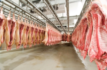 Exportação de carne suína alcançou o maior volume e receita do ano em junho