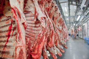 Exportação de carne bovina do Brasil bate recorde pelo 2º mês seguido