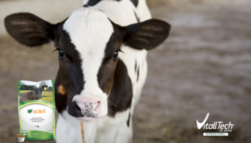 Diarreias em bezerras são a segunda maior causa de morte de bovinos jovens dentro das propriedades
