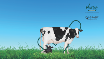 Micotoxinas e os prejuízos na pecuária leiteira