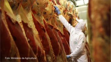 Brasil terá 2º melhor ano de exportações de carne bovina, diz consultoria