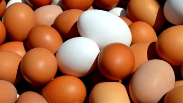 El Salvador abre mercado para exportações brasileiras de ovos e carne de aves