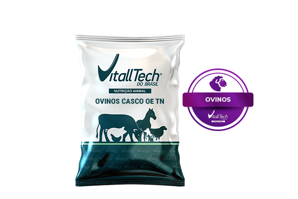 OVINOS CASCO OE TN